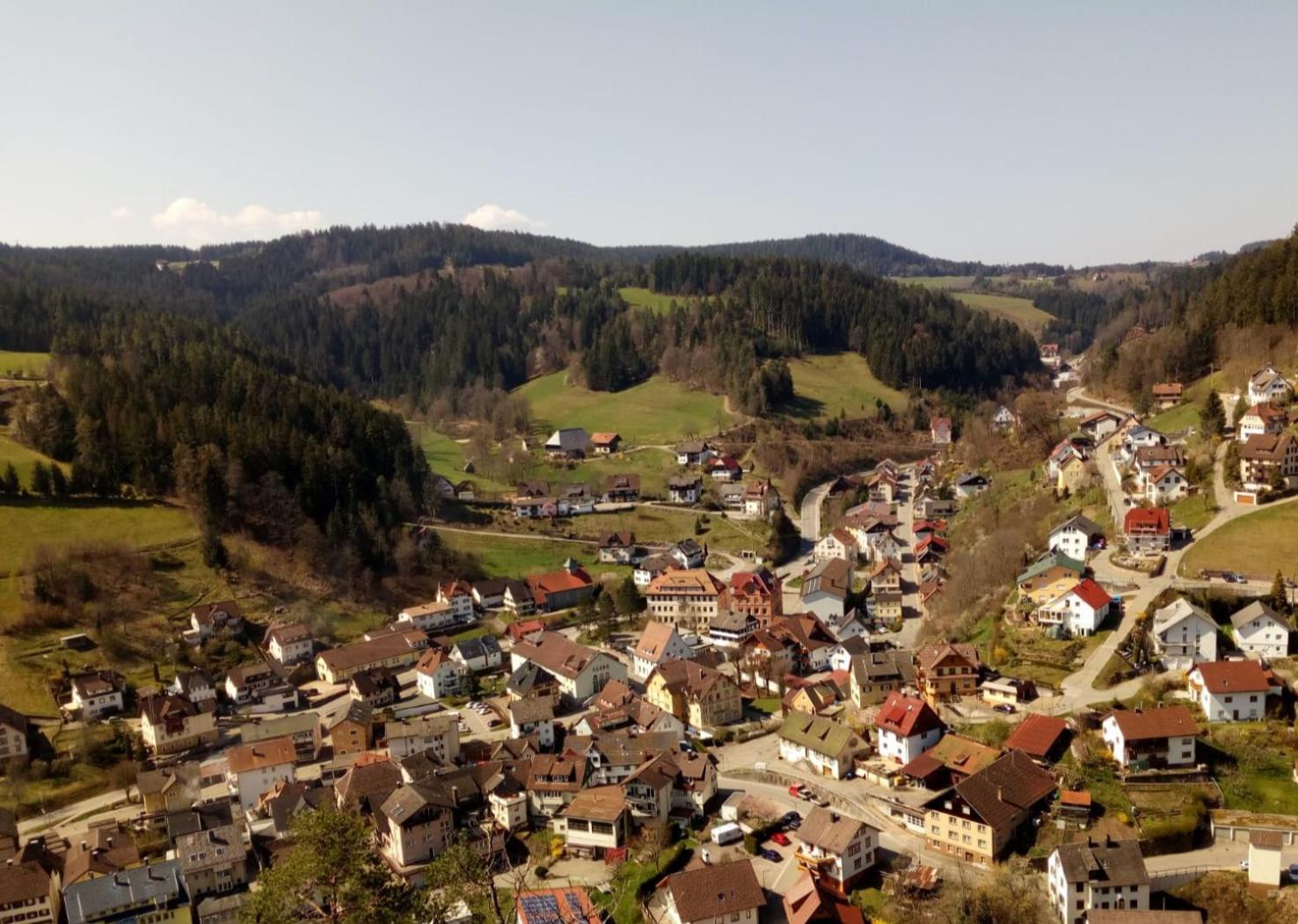 Gasthaus Muehlenstube لاوترباخ المظهر الخارجي الصورة